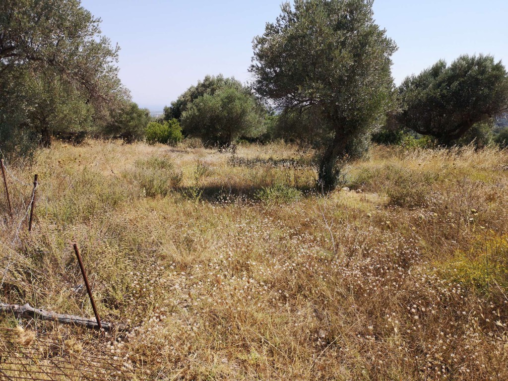 Οικόπεδο 4.063 τ.μ. πρός πώληση, Ν. Ρεθύμνου, Αρκάδι