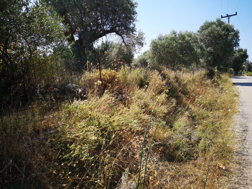 Οικόπεδο 4.063 τ.μ. πρός πώληση, Ν. Ρεθύμνου, Αρκάδι