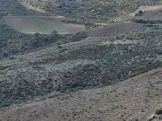 Οικόπεδο 12.712 τ.μ. για πώληση, Ν. Ρεθύμνου, Λάμπη-thumb-3
