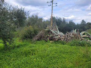 Οικόπεδο 10.986 τ.μ. για πώληση, Ν. Ρεθύμνου, Ρέθυμνο-thumb-2
