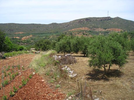 Οικόπεδο 600τ.μ. για πώληση-Γεροπόταμος » Εξάντης