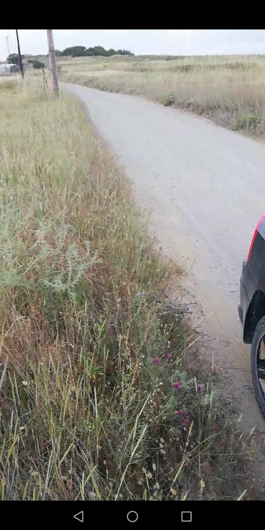 Αγροτεμάχια 2.000 τ.μ. προς πώληση, Μούδρος Λήμνου