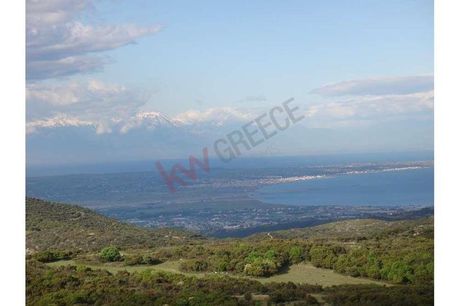 Οικόπεδο 4.000τ.μ. για πώληση-Χορτιάτης