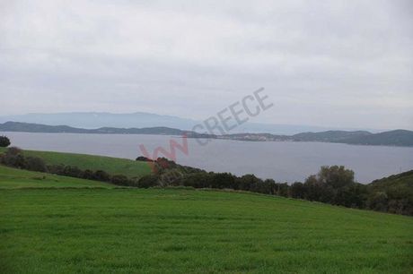 Αγροτεμάχια 4.656τ.μ. για πώληση-Σταγείρων - ακάνθου