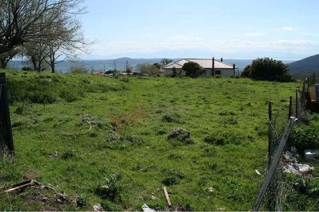 Οικόπεδο 904τ.μ. για πώληση-Θέρμη » Βασιλικά