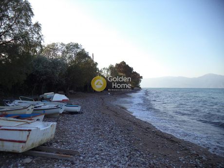 Οικόπεδο 1.950 τ.μ. για πώληση