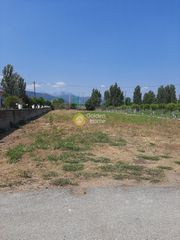 Οικόπεδο 1.950 τ.μ. για πώληση