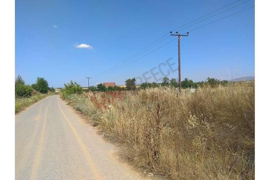 Αγροτεμάχια 6.500 τ.μ. προς πώληση, Μουδανιά