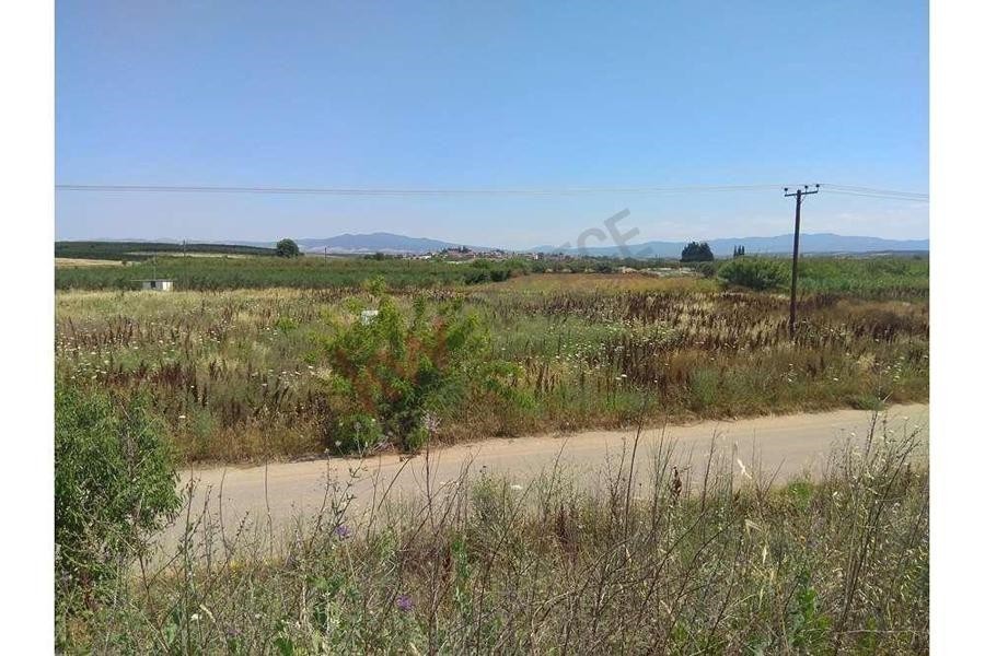 Αγροτεμάχια 6.500 τ.μ. προς πώληση, Μουδανιά
