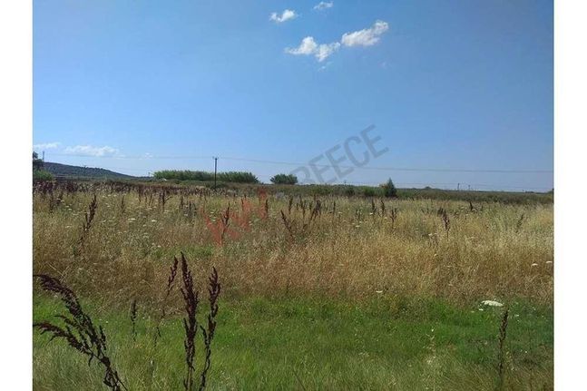 Parcel 6.500 sqm for sale, Chalkidiki, Moudania