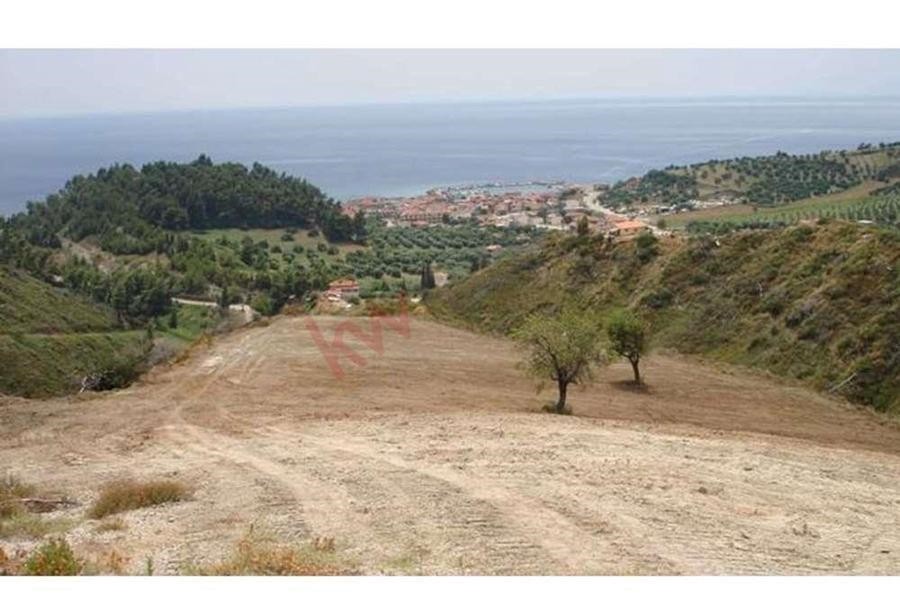 Αγροτεμάχια 11.500 τ.μ. προς πώληση, Νέα Σκιώνη