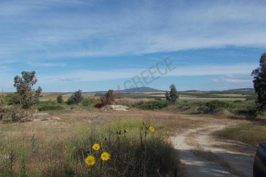 Αγροτεμάχια 38.500 τ.μ. προς πώληση, Άγιος Παντελεήμονας Μουδανιών