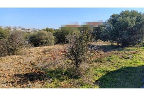 Αγροτεμάχια 3.000τ.μ. για πώληση-Πανόραμα