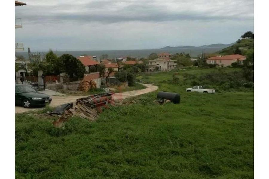 Οικόπεδο 800 τ.μ. προς πώληση, Ιερισσός