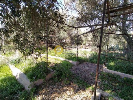 Οικόπεδο 558τ.μ. για πώληση-Αμπελάκια » Σελήνια