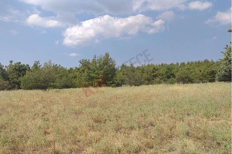 Αγροτεμάχια 7.250τ.μ. για πώληση-Θέρμη