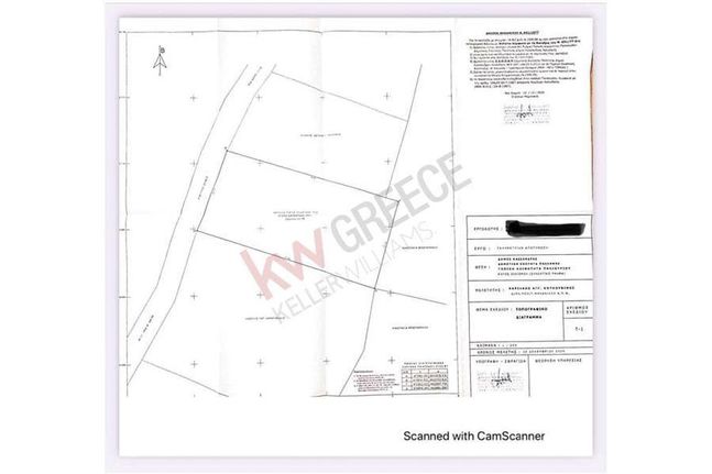 Land plot 1.500 sqm for sale, Chalkidiki, Pallini