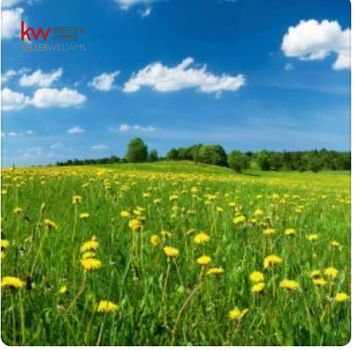 Αγροτεμάχια 4.011τ.μ. για πώληση-Αρναία