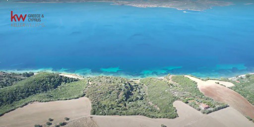 Αγροτεμάχια 43.000 τ.μ. προς πώληση, Νέα Ρόδα