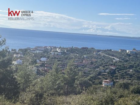 Οικόπεδο 6.540τ.μ. για πώληση-Πολύγυρος
