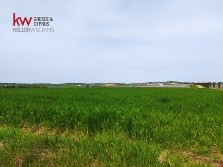 Αγροτεμάχια 6.534 τ.μ. για πώληση