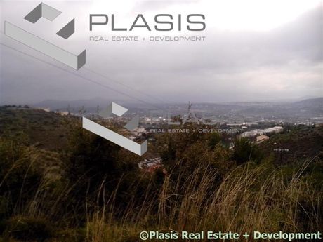 Οικόπεδο 24.000τ.μ. για πώληση-Παλλήνη