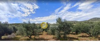 Οικόπεδο 30.000 τ.μ. προς πώληση, Νερουλά-thumb-1