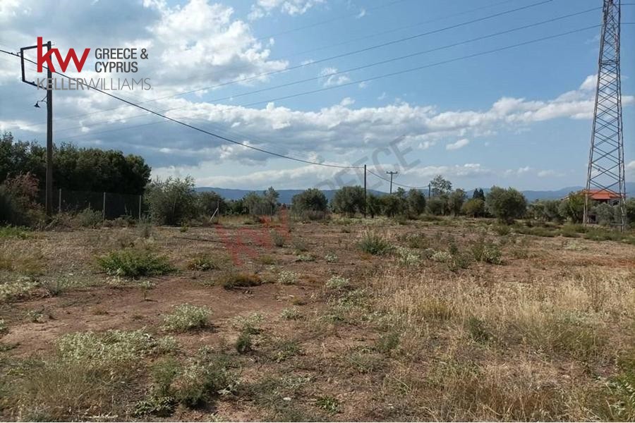 Οικόπεδο 1.200 τ.μ. προς πώληση, Μαγούλα Ερέτριας
