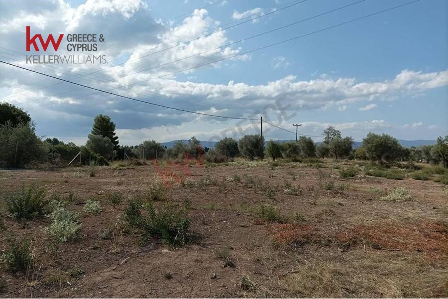 Οικόπεδο 1.200 τ.μ. προς πώληση, Μαγούλα Ερέτριας