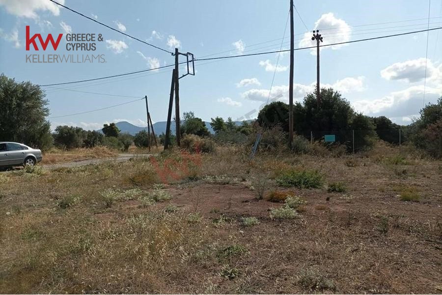 Οικόπεδο 1.200 τ.μ. προς πώληση, Μαγούλα Ερέτριας