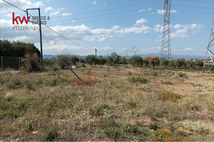 Οικόπεδο 1.200 τ.μ. προς πώληση, Μαγούλα Ερέτριας
