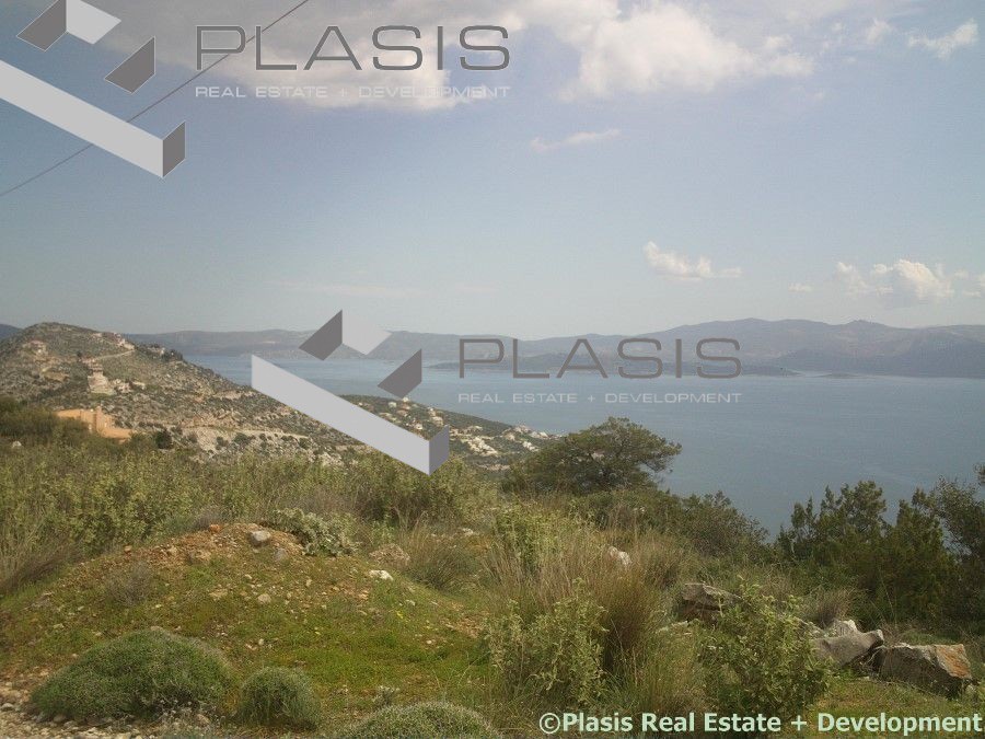 Οικόπεδο 1.024 τ.μ. προς πώληση, Μαλεσίνα Φθιώτιδας