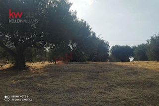 Οικόπεδο 968 τ.μ. προς πώληση, Άμπελος Ακράτας-thumb-8