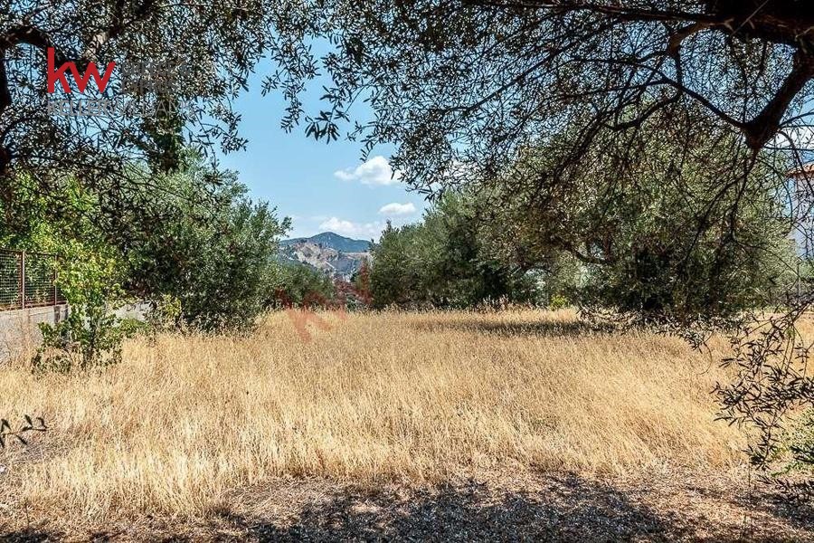 Οικόπεδο 968 τ.μ. προς πώληση, Άμπελος Ακράτας