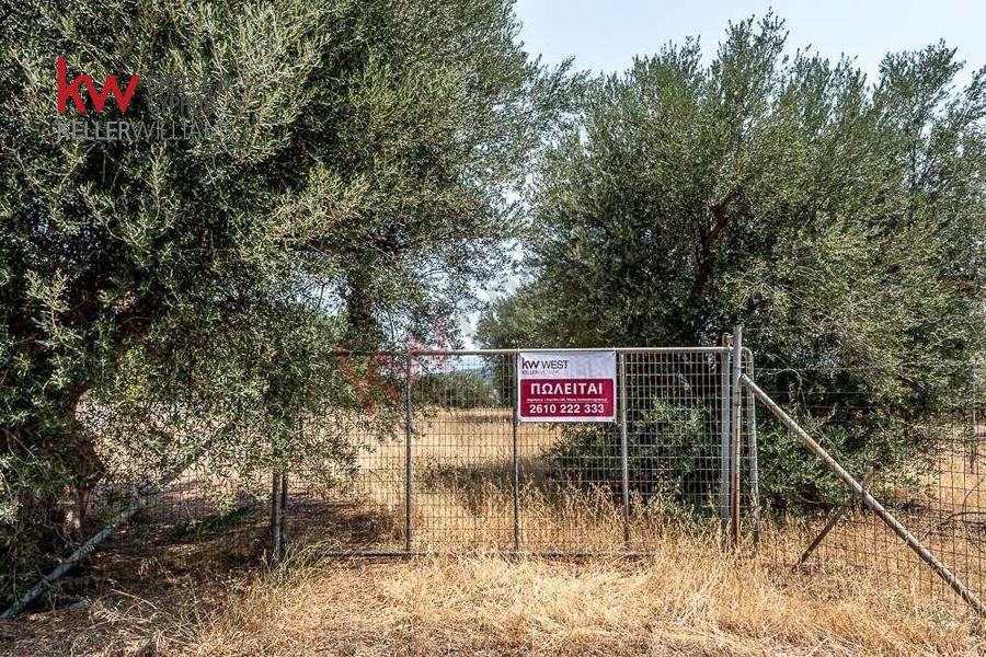 Οικόπεδο 968 τ.μ. προς πώληση, Άμπελος Ακράτας