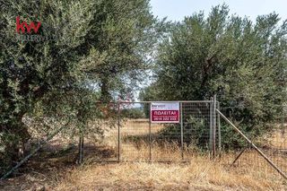 Οικόπεδο 968 τ.μ. προς πώληση, Άμπελος Ακράτας-thumb-1