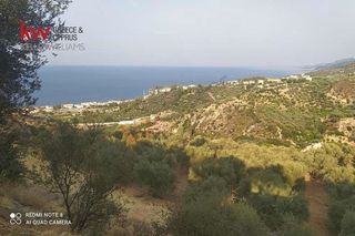 Οικόπεδο 968 τ.μ. προς πώληση, Άμπελος Ακράτας-thumb-6