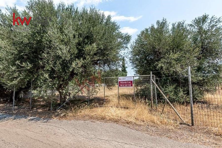 Οικόπεδο 968 τ.μ. προς πώληση, Άμπελος Ακράτας