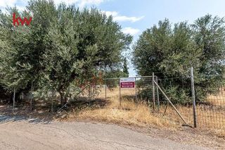 Οικόπεδο 968 τ.μ. προς πώληση, Άμπελος Ακράτας-thumb-4