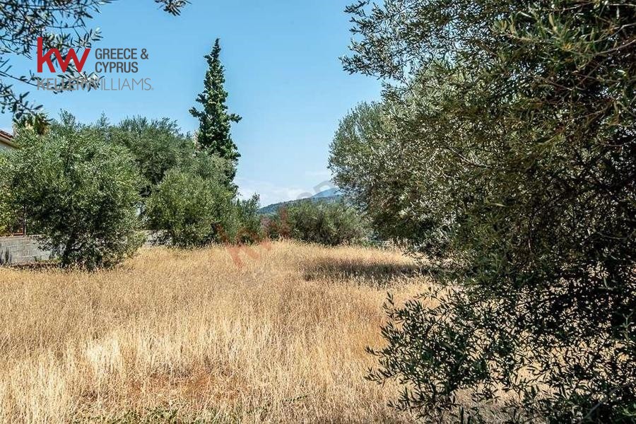 Οικόπεδο 968 τ.μ. προς πώληση, Άμπελος Ακράτας