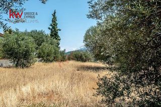 Οικόπεδο 968 τ.μ. προς πώληση, Άμπελος Ακράτας-thumb-2