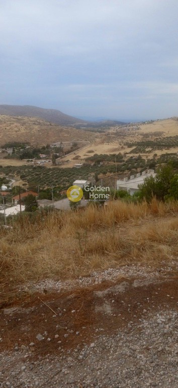 Αγροτεμάχια 437 τ.μ. προς πώληση, Αττική - Υπόλοιπο, Ανάβυσσος