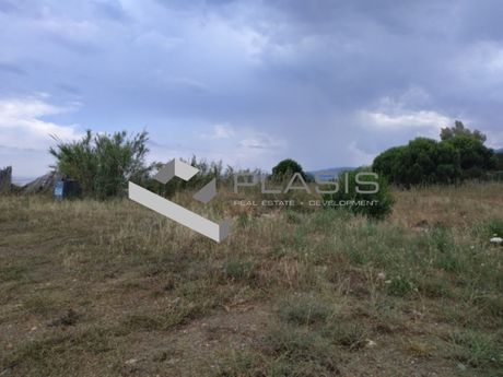 Parcel 75.000sqm for sale-Marathonas