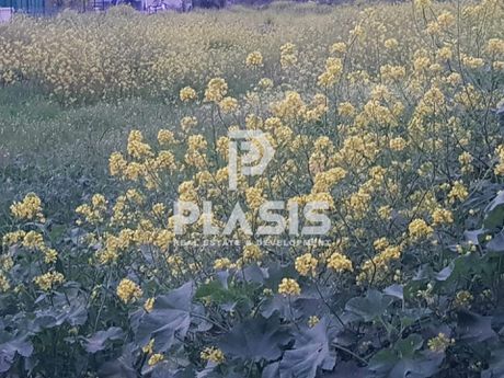Οικόπεδο 232τ.μ. για πώληση-Παιανία