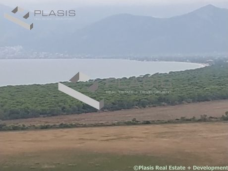 Οικόπεδο 1.050τ.μ. για πώληση-Μαραθώνας
