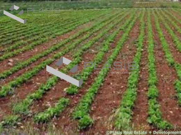 Αγροτεμάχια 7.150 τ.μ. για πώληση, Αθήνα - Ανατολικά Προάστια, Μαραθώνας