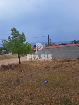 Οικόπεδο 580τ.μ. για πώληση-Αρτέμιδα (λούτσα)