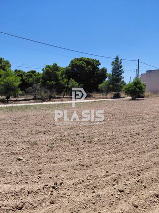 Land plot 1.500 sqm for sale, Athens - East, Artemida (loutsa)