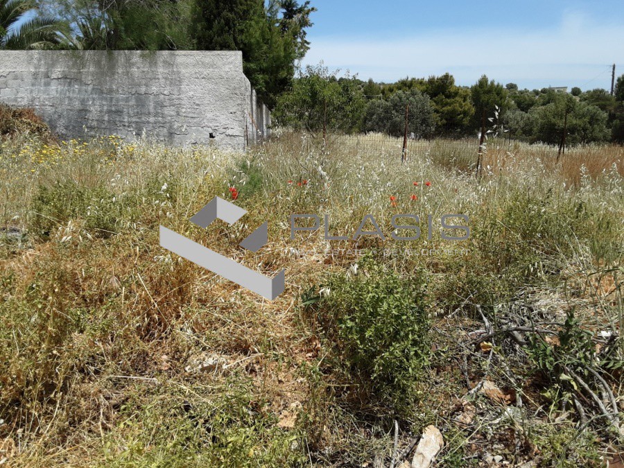 Οικόπεδο 455 τ.μ. προς πώληση, Αγία Μαρίνα Κορωπίου