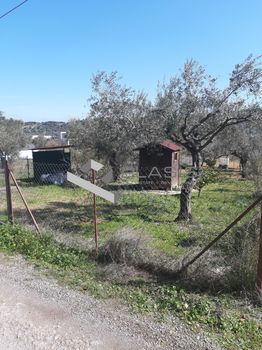 Οικόπεδο 451τ.μ. για πώληση-Παιανία